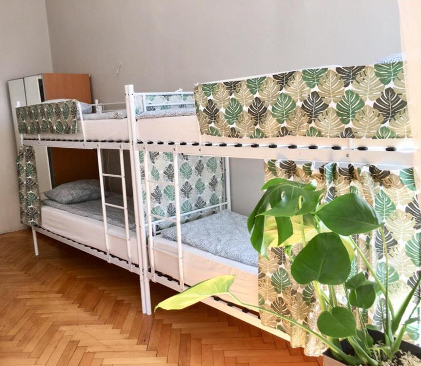 Green House Краков Экстерьер фото